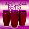 Tribal Godfather (Original Mix) - Steve Trash