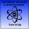 Turn It Up - Different Measure&WhatAlexDid