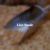 Live Saule - Virk Mala