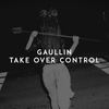 Take over Control - Gaullin&Afrojack&Eva Simons&Ingrid Simons&Mike Hamilton