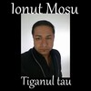 Tiganul tau - Ionut Mosu