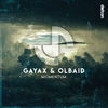 Momentum (Original Mix) - Gayax&Olbaid