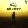 The Destiny - Fady Haroun&Hussein Mahmoud