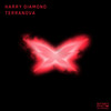 Terranova (Extended Mix) - Harry Diamond