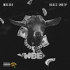 Trappin (Explicit) - Wbe Joe&Koncept