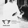 I've Got The Feellings (Original Mix) - Yamilet Vivas&The Blacks Shamanes