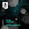 Sweetz (Original Mix) - Peter Lankton
