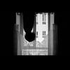 Evilyn (Explicit) - Onative