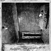 The Harpies with The Suicides - Mehrbod&Sepehr Pourteymour