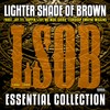 Presidential (Explicit) - Lighter Shade of Brown&Kid Frost&Jay Tee