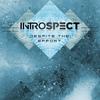Despite the Effort - Introspect