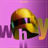 Why - Gamo