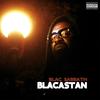 3010 (feat. Esoteric of Czarface & Celph Titled|Explicit) - Blacastan&Esoteric of Czarface&Celph Titled