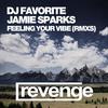 Feeling Your Vibe (Original Mix) - Jamie Sparks&DJ Favorite