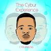 Bathethelele(feat. Jozlina) (Remix) - CyburmusiQ&House Victimz&Jozlina&DJ Tears PLK