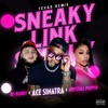 Sneaky Link (Texas Remix) - Ace Sinatra&Bo Bundy&Krystall Poppin