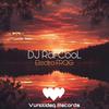 Electro Frog (Original Mix) - DJ Rafcool