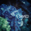 hydrangea. - Damned