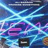 Promise Something - Ali Bakgor&Ali Said Bakgör