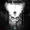 Blue Asylum (Original Mix) - Raw Vandalz