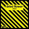 Effort - Dried Flower