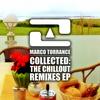 Audiogenic (With Johannes Werner) (Ambient Therapy) - Marco Torrance