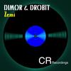 Zemi (Original Mix) - Dimor&Drobit