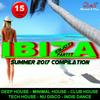 Hot Sax (Radio Edit) - Ivan Nasini