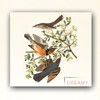 Dreamy. (Explicit) - $MASH