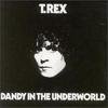 Pain and Love - T. Rex