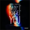 Can't Forget You (Salsa Rmx) - GFuziøn&Robert Ball