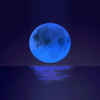 Blue Moon - Khai Dreams&Khai Nicholas Chi Duong