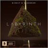 Labyrinth - Direct&Essenger