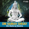 Mahamrityunjay Mantra - Suresh Wadkar