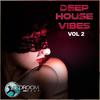 Skul Bus (Original Mix) - Danny Deep