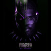 Wakanda Forever (Instrumental Version) - DJ Shark