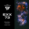 Never Ever (Radio Edit) - Erika Krall&Lian Gold