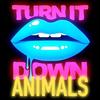 Turn It Down Animals (Kaskade's Paradiso Mash Up) - Kaskade&Martin Garrix