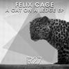 A Cat On A Ledge (Original Mix) - Felix Cage