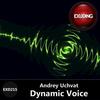 Dynamic Voice - Andrey Uchvat