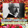 Symphony No 6 in B minor  Op 74 - Paradise Orchestra