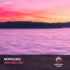 Back on Vinyl - Monuloku