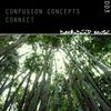 Connect (Quantum Soul Remix) - Confusion Concepts