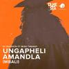 Ungapheli Amandla(Mbali)[feat. Miss Twaggy] (Explicit) - DJ Dukesta&Miss Twaggy