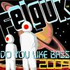 Do You Like Bass 2009 - Felguk