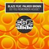 Do You Remember House? (feat. Palmer Brown) (Solid Groove Dub) - Blaze&Palmer Brown