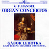 Organ Concerto No. 1 in G Minor, Op. 4, No. 1, HWV 289: II. Allegro - Gábor Lehotka&Franz Liszt Chamber Orchestra&Frigyes Sándor