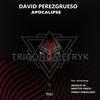 Apocalipse (Original Mix) - David Perezgrueso