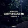 Why You Leave Me(feat. Kaysuma) - Sendeljer&Kaysuma