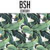 Aflame - BSH